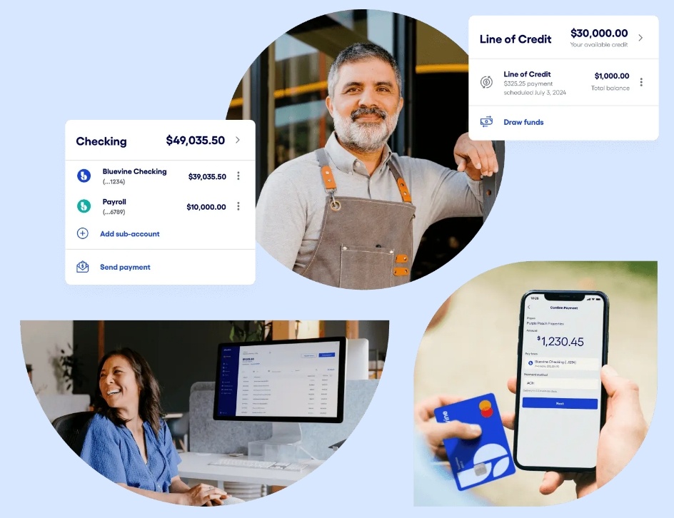 BlueVine Dashboard